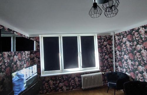 Wloclawek Apartamento | Apartament Okrzei