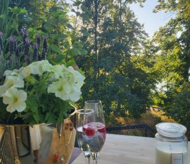 Osno Lubuskie Apartamento | Apartament Ola