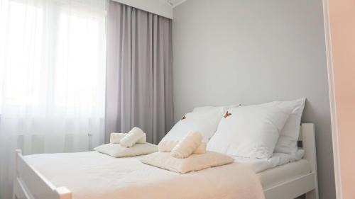 Gorzow Wielkopolski Apartamento | Apartament Olimp