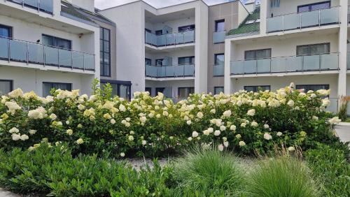 Grzybowo Apartamento | Apartament Piaskowy Sunset Resort