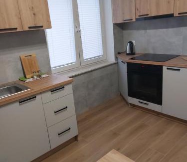 Ostrzyce Apartamento | Apartament