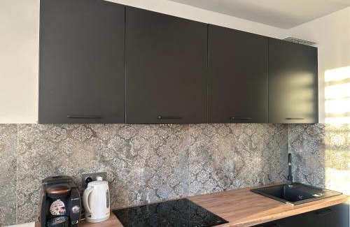 Tarnowskie Gory Apartamento | Apartament
