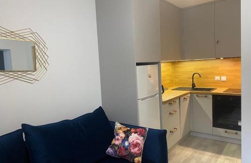 Okuninka Apartamento | APARTAMENT PLUS