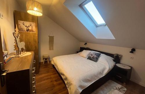 Piwniczna-Zdroj Apartamento | Apartament Popradzka Ostoja