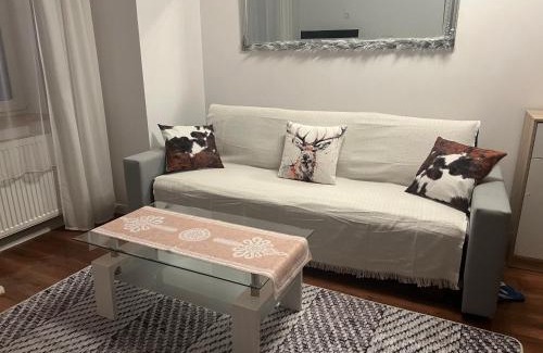 Piwniczna-Zdroj Apartamento | Apartament Popradzka Ostoja