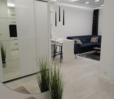 Wilkasy Apartamento | Apartament Portowy