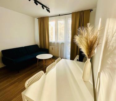 Brzezinka Apartamento | Apartament Powstańców 19