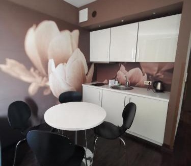 Dzielnica Uzdrowiskowa Apartamento | Apartament prywatny salon z aneksem kuchennym, sypialnią w hotelu DIVA