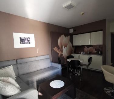 Dzielnica Uzdrowiskowa Apartamento | Apartament prywatny salon z aneksem kuchennym, sypialnią w hotelu DIVA
