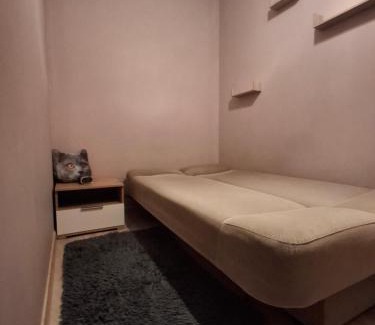 Skarzysko-Kamienna Apartamento | Apartament Przydworcowe