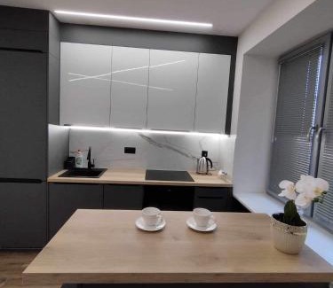 Kielce Apartamento | Apartament przy Filharmonii i KCK