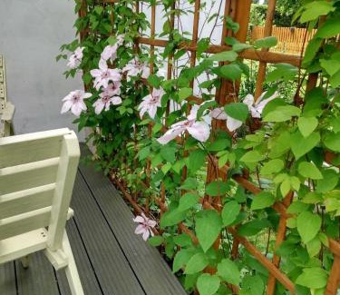 Ostrow Wielki Apartamento | Apartament przy Kamiennej Chacie