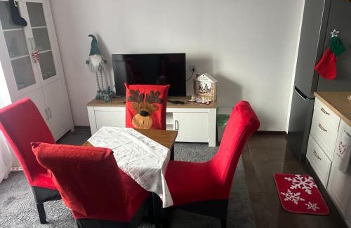 Biala Podlaska Apartamento | APARTAMENT przy Parku Radziwiłła