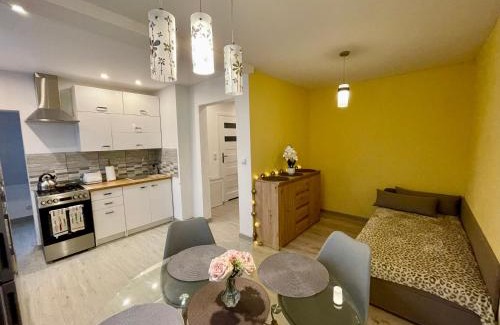 Niedzwiedz Apartamento | Apartament przy Parku Wodzickich - blisko Term, Turbacz, KGP