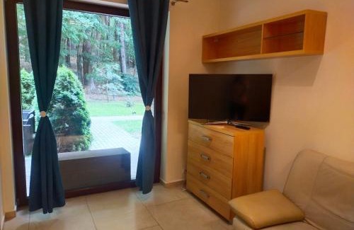 Wiselka Apartamento | Apartament Przy Parku Wisełka