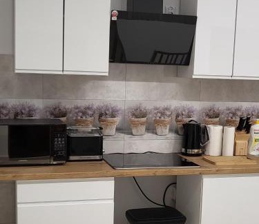Drawsko Pomorskie Apartamento | Apartament Przy Deptaku 2