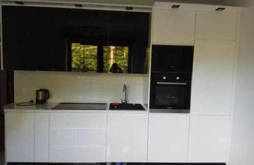 Saspow Casa | Apartament Przy Skale u Anny