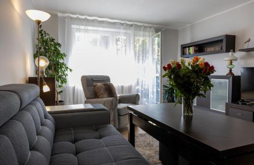 Wisla Apartamento | Apartament Przy Wiślańskim Bulwarze - Wisła