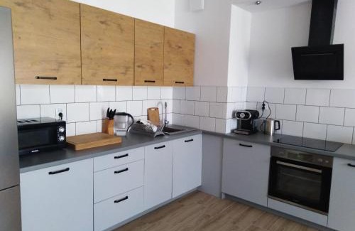 Gizycko Apartamento | Apartament Przystań - dostęp zdalny