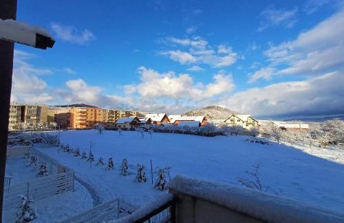 Zarnesti Apartamento | Apartament Ramonte