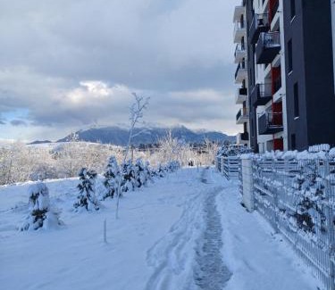 Zarnesti Apartamento | Apartament Ramonte