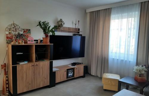 Tomaszow Mazowiecki Apartamento | Apartament Renii