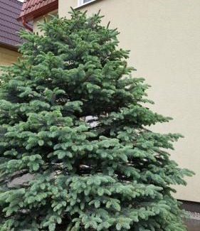 Polanica-Zdroj Casa | Apartament rodzinny z ogrodem - Bliżej Zdroju