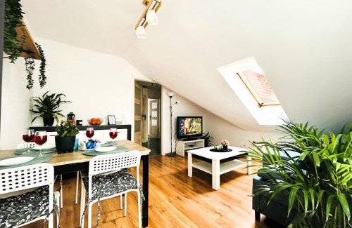 Opole Apartamento | Apartament Słoneczny 1