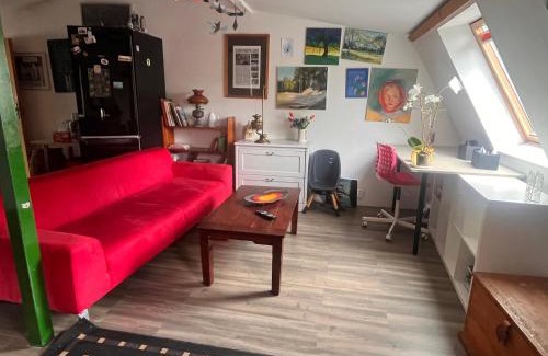 Leoncin Apartamento | Apartament-samodzielne mieszkanie-Agroturystyka-puszcza kampinoska