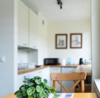 Sandomierz Apartamento | Apartament Sandomierski