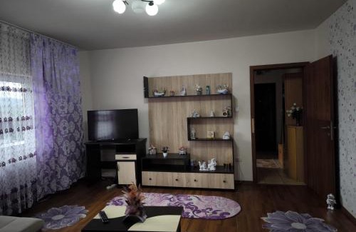 Otelu Rosu Apartamento | Apartament Sarah