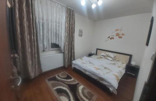 Otelu Rosu Apartamento | Apartament Sarah
