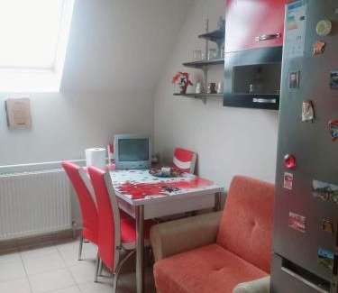 Otelu Rosu Apartamento | Apartament Sarah