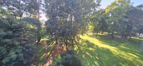 Czeladz Apartamento | Apartament Saturna