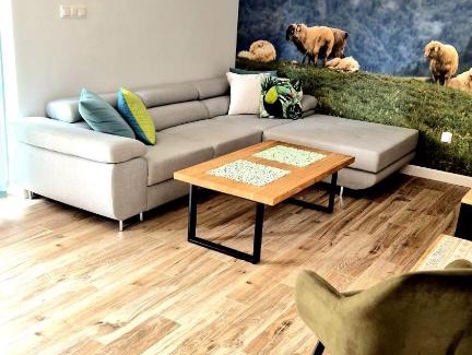 Jaworki Apartamento | Apartament Sielanka Jaworki