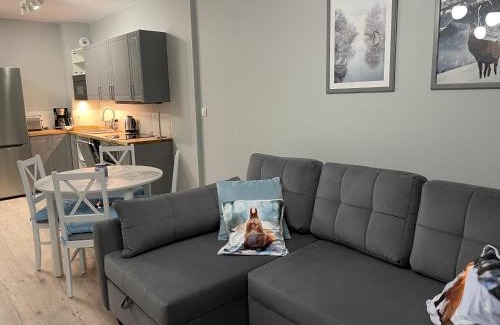 Karpacz Apartamento | Apartament Silence Karpatia Resort Tanzanit