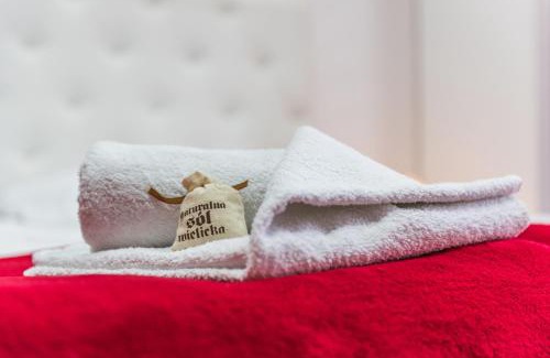 Wieliczka Apartamento | Apartament Solny Wieliczka Centrum 5