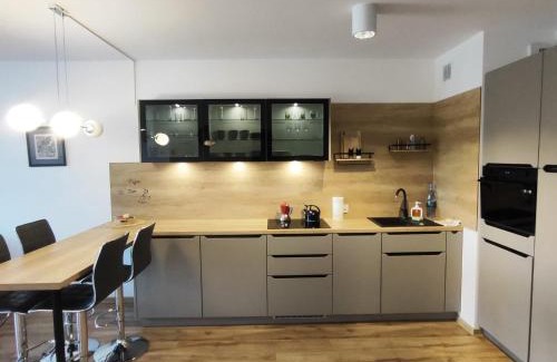 Zamosc Apartamento | Apartament Stara Elektrownia