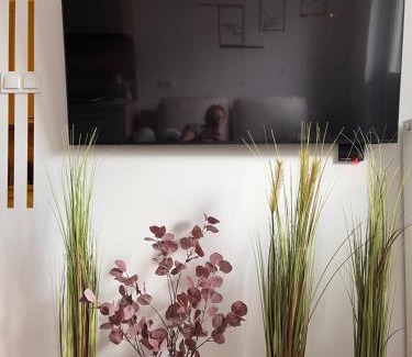 Biala Podlaska Apartamento | Apartament Sukces