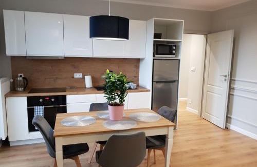 Tarnow Apartamento | Apartament Tarnovianka - Centrum