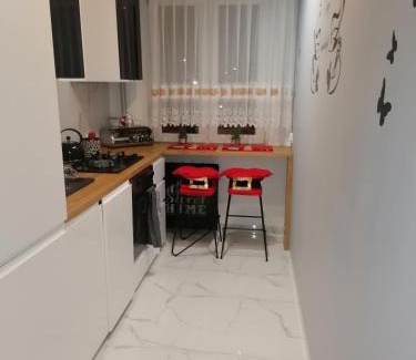 Biala Podlaska Apartamento | Apartament Terebelska P