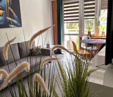 Nysa Apartamento | Apartament Teresa