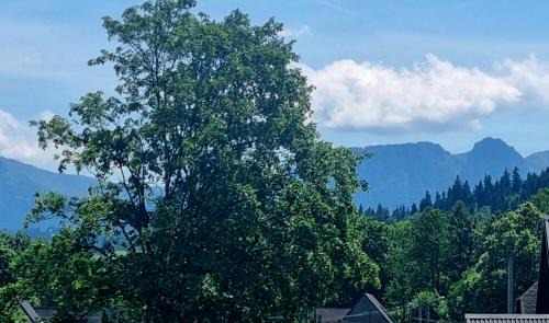 Czarny Dunajec Apartamento | Apartament u Ani