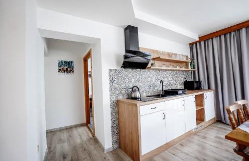 Bialy Dunajec Apartamento | Apartament u Chyców