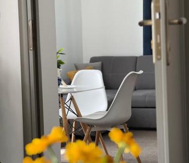 Tylicz Apartamento | Apartament u Gogoca II