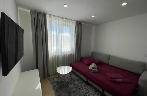 Sangeorz-Bai Apartamento | APARTAMENT ULTRACENTRAL,PARCARE PRIVATA,WiFi