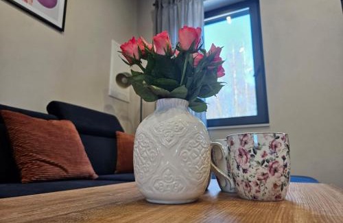 Skorochow Apartamento | Apartament Vici nad jeziorem Nyskim