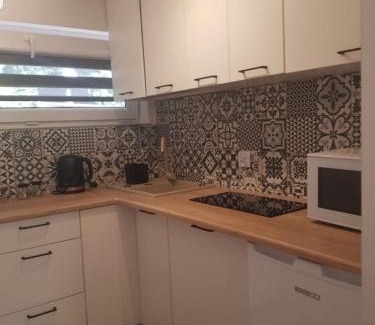 Okuninka Apartamento | Apartament w centrum Okuninki