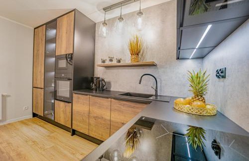 Cieplice Apartamento | Apartament w Cieplicach Platinium