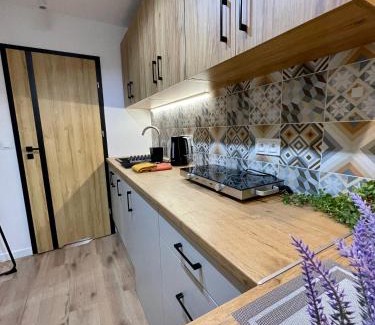 Radom Apartamento | Apartament w sercu miasta
